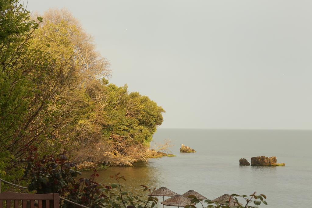 Sinop Antik Otel エクステリア 写真